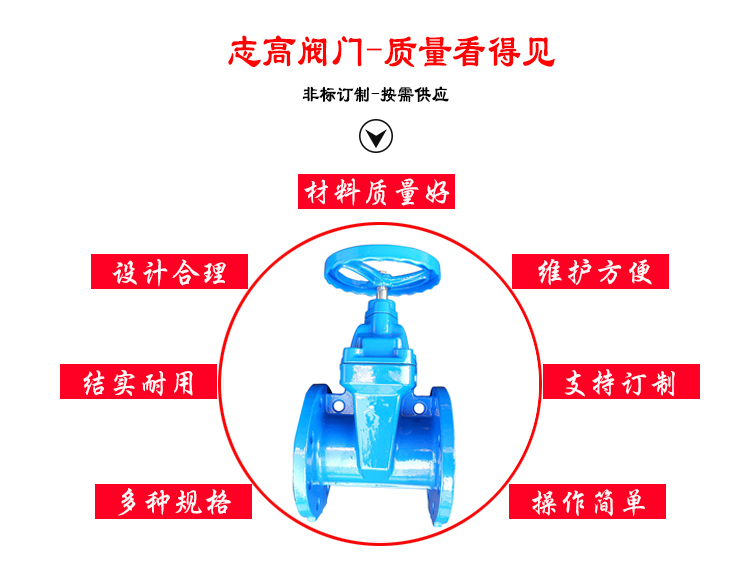 <a href='/default.html'>软密封闸阀</a>